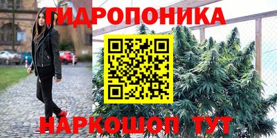 индика Ирбит