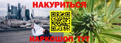 индика Ирбит