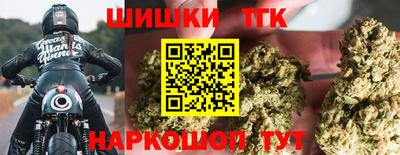 индика Ирбит