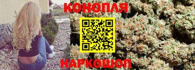 индика Ирбит